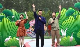 嘉善星派爆料最新消息视频,揭秘视频背后的惊人真相