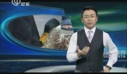 纪实频道在线观看